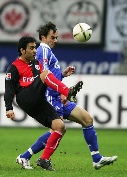 还提升了观 还提升了观